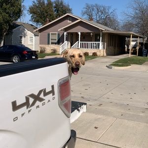 Meet your Posher, Austin